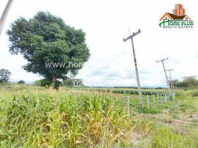 ขาย - 30130, นครราชสีมา