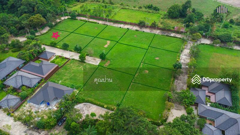 ขาย - At Green : แอทกรีน, ชลบุรี