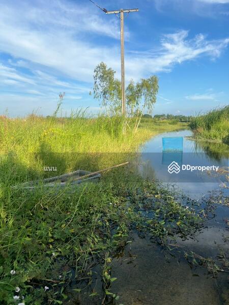ขาย - Baan Green Lake Bangna-Trad : บ้านกรีนเลค บางนา-ตราด, สมุทรปราการ