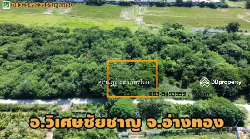 ขาย - 14110, อ่างทอง
