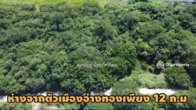 ขาย - 14110, อ่างทอง