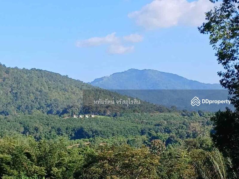 For Sale - Garden house, mountain and rice field view, 5-2-75 rai, Samoeng Nuea, Chiang Mai., Chiang Mai