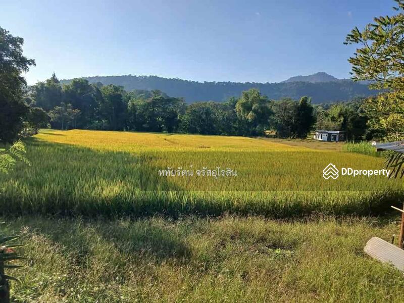ขาย - บ้านสวน วิวภูเขาและวิวทุ่งนา 5-2-75 ไร่ สะเมิงเหนือ เชียงใหม่, เชียงใหม่