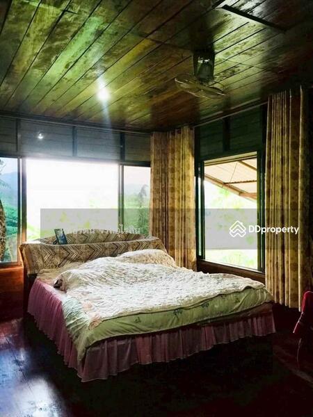 ขาย - บ้านสวน วิวภูเขาและวิวทุ่งนา 5-2-75 ไร่ สะเมิงเหนือ เชียงใหม่, เชียงใหม่
