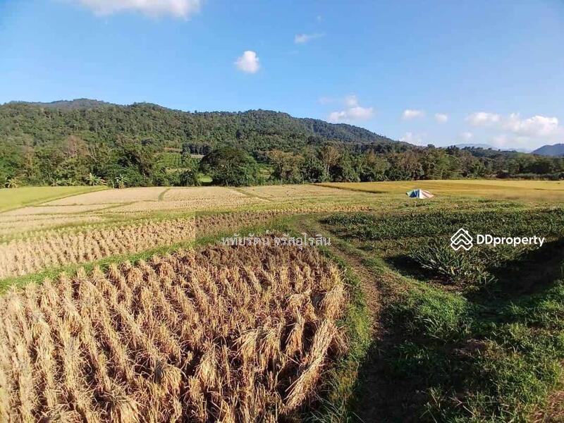 For Sale - Garden house, mountain and rice field view, 5-2-75 rai, Samoeng Nuea, Chiang Mai., Chiang Mai