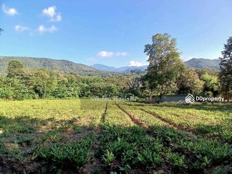 For Sale - Garden house, mountain and rice field view, 5-2-75 rai, Samoeng Nuea, Chiang Mai., Chiang Mai