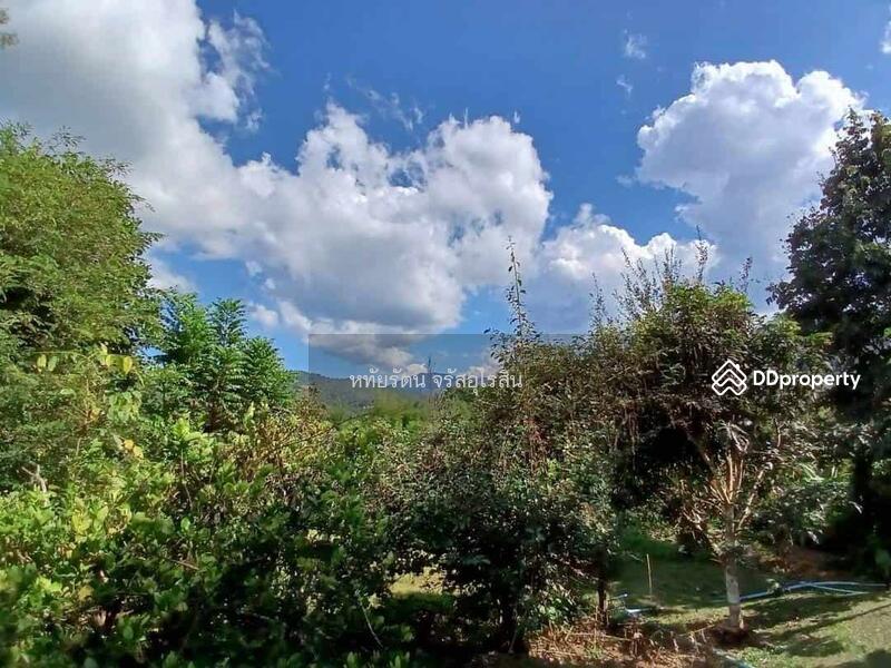 For Sale - Garden house, mountain and rice field view, 5-2-75 rai, Samoeng Nuea, Chiang Mai., Chiang Mai