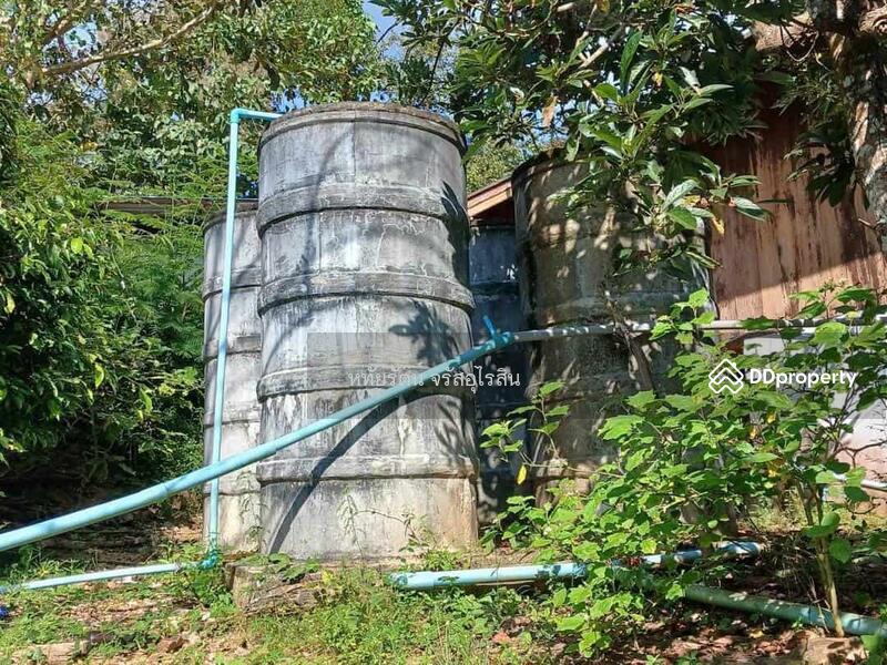 ขาย - บ้านสวน วิวภูเขาและวิวทุ่งนา 5-2-75 ไร่ สะเมิงเหนือ เชียงใหม่, เชียงใหม่