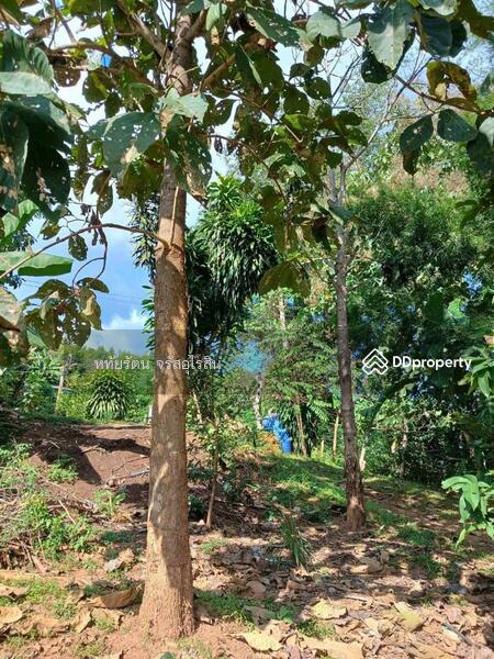 For Sale - Garden house, mountain and rice field view, 5-2-75 rai, Samoeng Nuea, Chiang Mai., Chiang Mai
