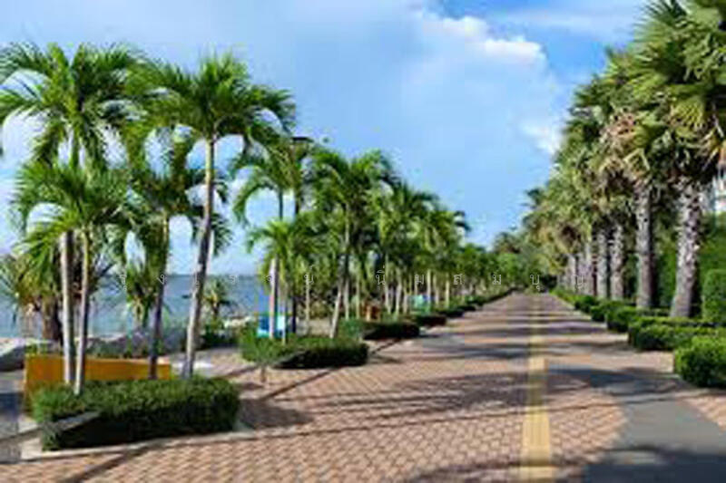 ที่ดิน ริมชายทะเลหาดกระทิงลาย บางละมุง พัทยา ชลบุรี ถนน 3 ด้าน ทำเลดีเยี่ยม แปลงที่สวยที่สุด, ชลบุรี, สุุขุมวิท  พัทยา  6  ก, นาเกลือ, บางละมุง, ชลบุรี, 3,552 ตร.ม., ที่ดิน ขาย, โดย รุ่งโรจน์ นิ่มสมบุญ, 11649315 - DDproperty.com