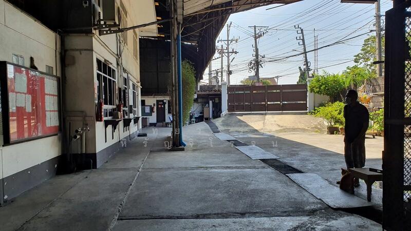 Land and warehouse for sale, 4 Rai 147.3sq.w. Samutprakarn Province, Sale55,000฿/sq.w, Samut Prakan, ปู่เจ้าสมิงพราย, Sam Rong Klang, Phra Pra Daeng, Samut Prakan, , 7,272 sqm, Warehouse/Factory For Sale, by คัทยวรรณ หิรัญจิโรจน์, 11650264 - DDproperty.com