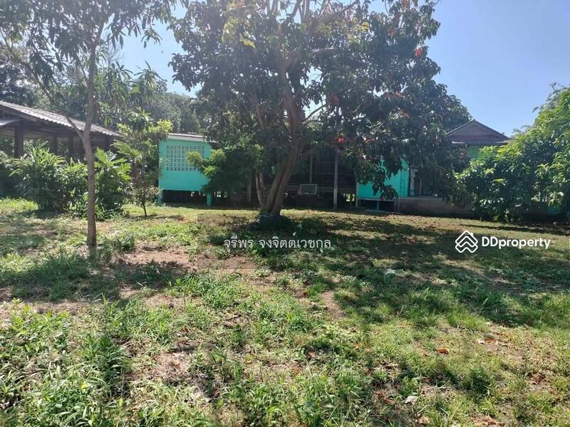 For Sale - โรห้วยกะปิ, Chon Buri