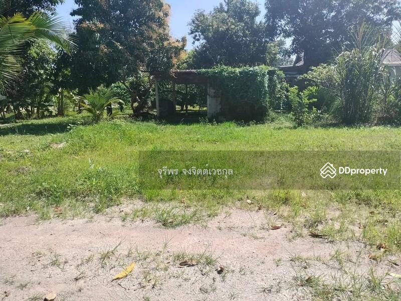 For Sale - โรห้วยกะปิ, Chon Buri