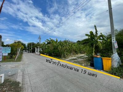 ขาย - ขายที่ดิน แบริ่ง 31/1 สุขุมวิท 107 ใกล้ถนนแบริ่ง เนื้อที่ 260 ตรว. ทิศเหนือ, สมุทรปราการ