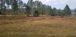 5 Rai 50 Square Wah, Land in Nong Phok District. On Hwy 2136. Great Location and close to town., ร้อยเอ็ด