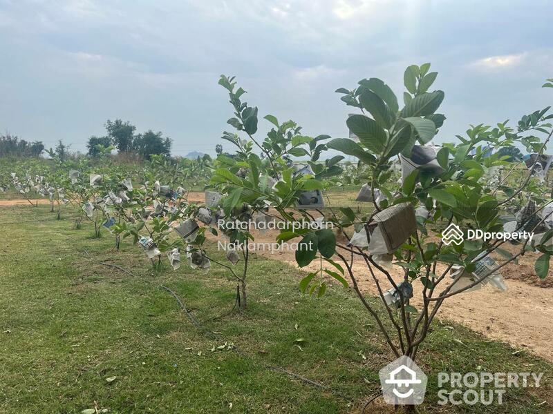 ขาย - Wang Phong, ประจวบคีรีขันธ์