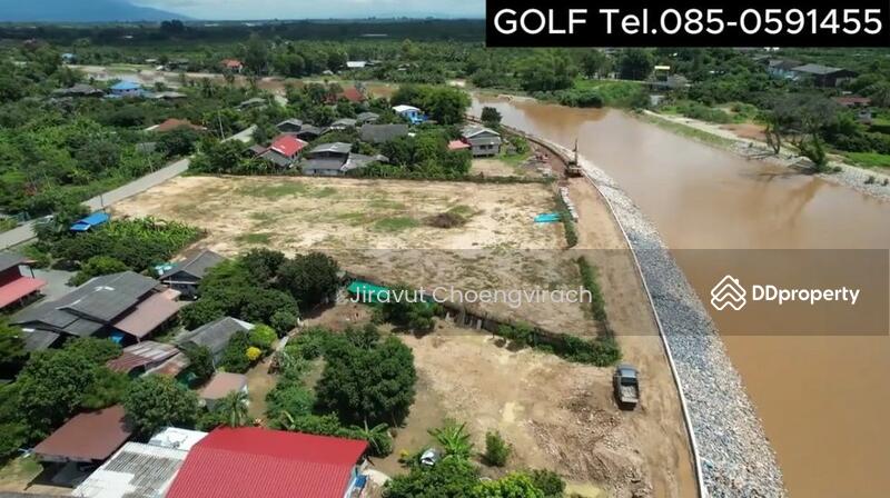 ขาย - ที่ดินริมแม่น้ำปิง ต.หนองตอง อ.หางดง จ.เชียงใหม่, เชียงใหม่