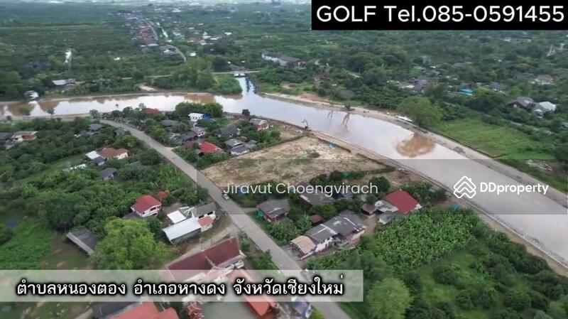 ขาย - ที่ดินริมแม่น้ำปิง ต.หนองตอง อ.หางดง จ.เชียงใหม่, เชียงใหม่
