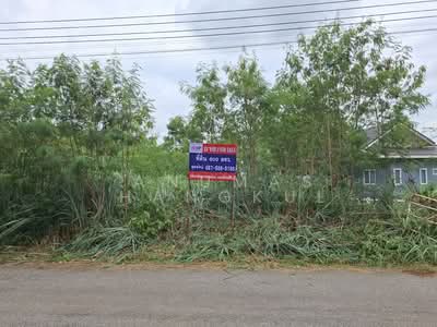 ขาย - ขายที่ดิน แปลงสวยบนเนิน วิวเขาใหญ่ สภาพแวดล้อมดีมาก, นครราชสีมา