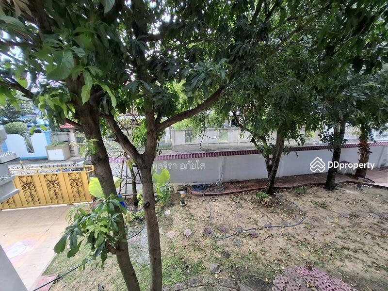 ให้เช่า - 11000, นนทบุรี
