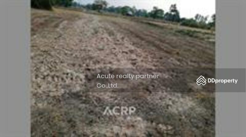 For Sale - Land for sale at Khamniam Subdistrict, Kanthararom District, Srisaket Province, Si Sa Ket