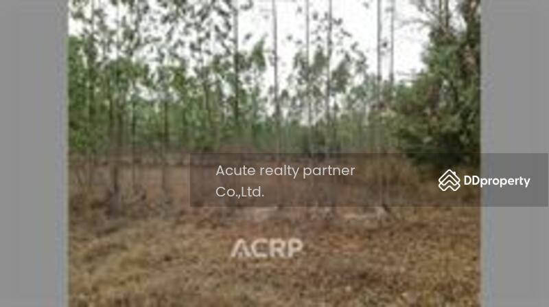 For Sale - Land for sale at Khamniam Subdistrict, Kanthararom District, Srisaket Province, Si Sa Ket
