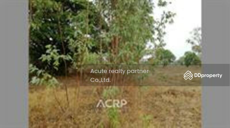 For Sale - Land for sale at Khamniam Subdistrict, Kanthararom District, Srisaket Province, Si Sa Ket