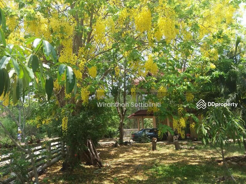 ขาย - ปทุมธานี ธัญบุรี 12110, ปทุมธานี