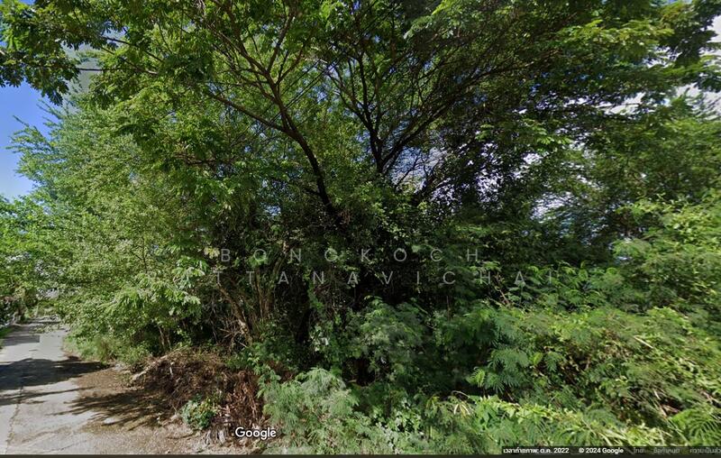 รูปที่ดิน