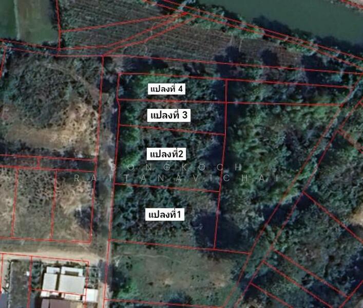 แบ่งขายเป็นแปลงเล็ก 2 แปลง