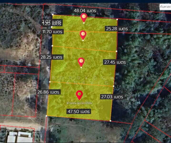 แปลงใหญ่