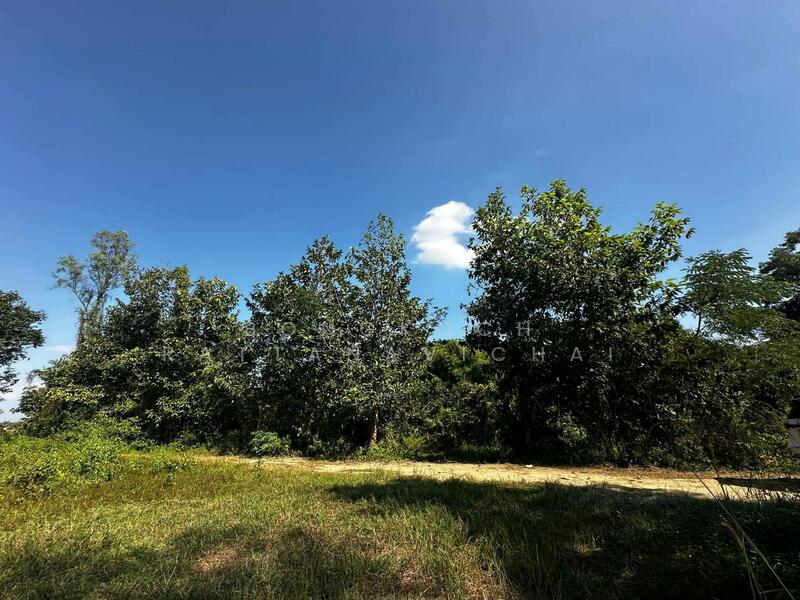 รูปที่ดิน