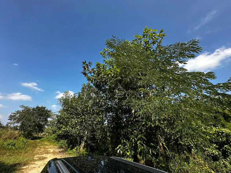 รูปที่ดิน