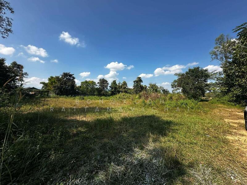 บริเวณรอบๆที่ดิน