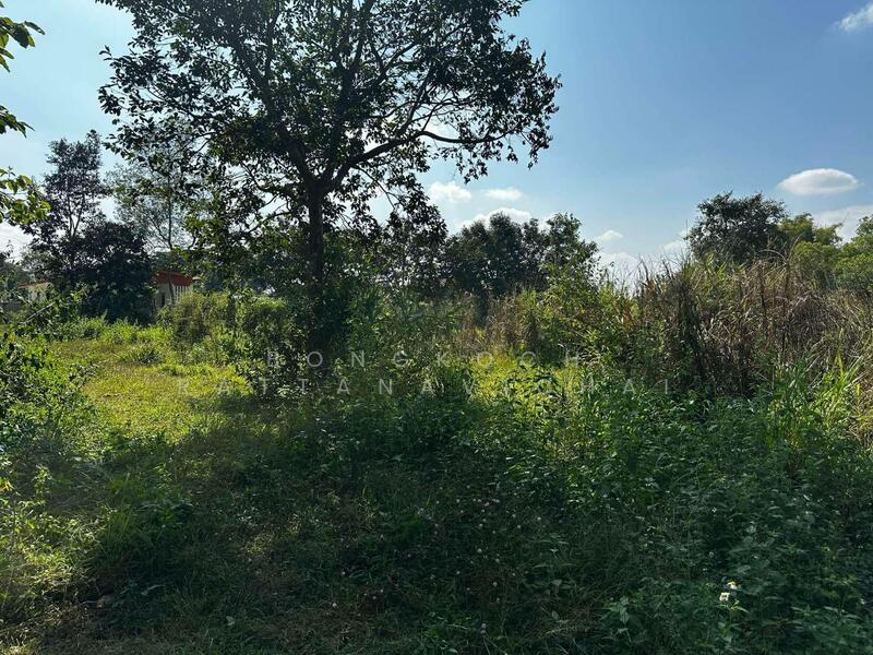 บริเวณที่ดิน