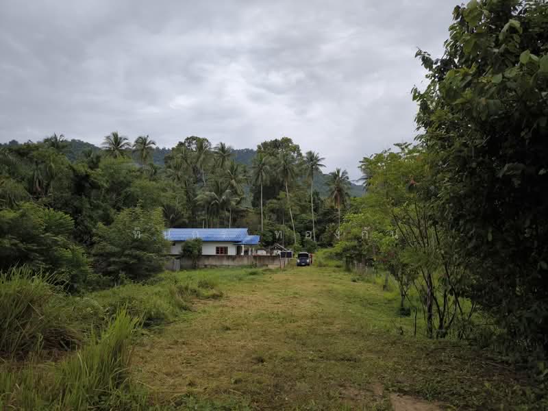 ที่ดินเปล่า ใกล้ทะเล หาดในเพลาขนอม, Nakhon Si Thammarat, Khanom, Nakhon Si Thammarat, , 5,848 sqm, Land For Sale, by Thinnakorn Thongkun, 11660860 - DDproperty.com