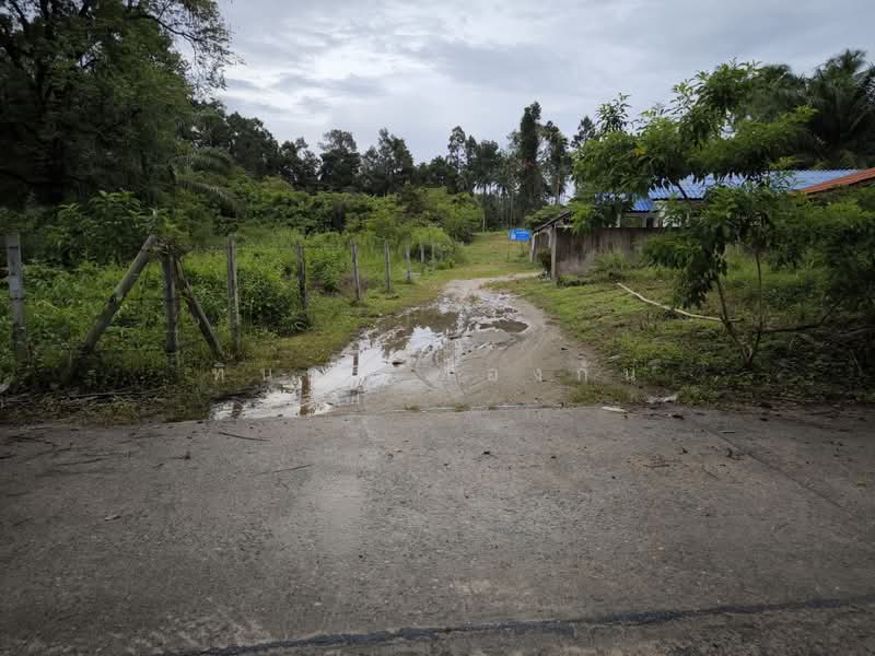 ที่ดินเปล่า ใกล้ทะเล หาดในเพลาขนอม, Nakhon Si Thammarat, Khanom, Nakhon Si Thammarat, , 5,848 sqm, Land For Sale, by Thinnakorn Thongkun, 11660860 - DDproperty.com