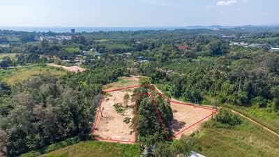 ขาย - ขายที่ดิน - ใกล้หมู่บ้านออร์คิด วิลเลจ - บ้านกร่ำ อ.แกลง, ระยอง