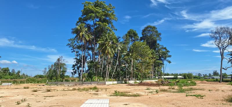 ขาย - ขายที่ดิน - ใกล้หมู่บ้านออร์คิด วิลเลจ - บ้านกร่ำ อ.แกลง, ระยอง