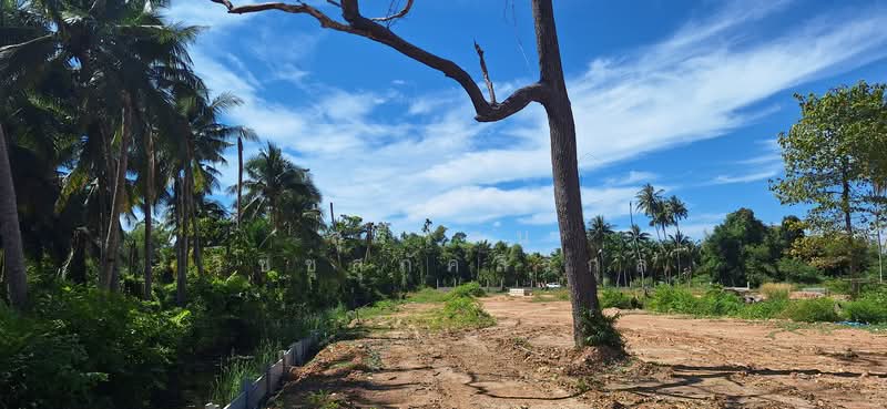 Land for Sale - Stays closed to the Orchid Village - Kram, Klaeng, Rayong, Kram, Klaeng, Rayong, , 709 sqm, Land For Sale, by อรัญญา ระยาย้อย, 11660898 - DDproperty.com