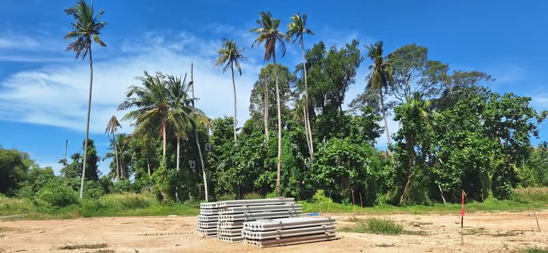 Land for Sale - Stays closed to the Orchid Village - Kram, Klaeng, Rayong, Kram, Klaeng, Rayong, , 709 sqm, Land For Sale, by อรัญญา ระยาย้อย, 11660898 - DDproperty.com