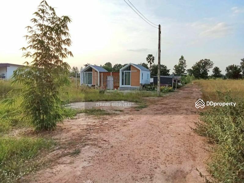 ขาย - ขาย บ้านสวน 2 หลัง เนื้อที่ 1 ไร่ 2 งาน ติดถนนหลวง ชนบท 5040 ตำบล สะพานหิน อำเภอ หนองมะโมง, ชัยนาท