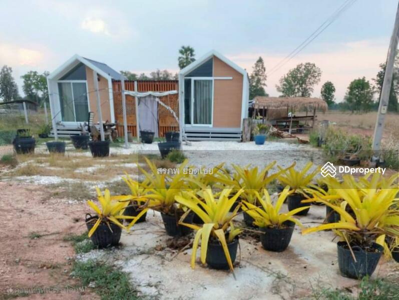 ขาย - ขาย บ้านสวน 2 หลัง เนื้อที่ 1 ไร่ 2 งาน ติดถนนหลวง ชนบท 5040 ตำบล สะพานหิน อำเภอ หนองมะโมง, ชัยนาท