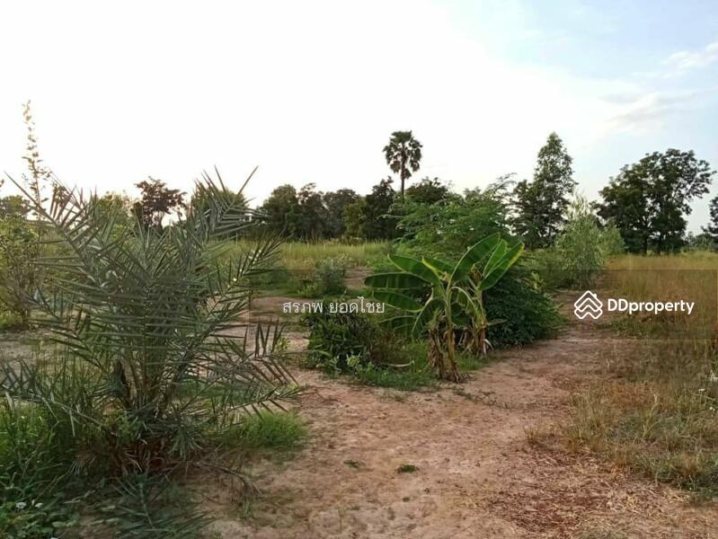 ขาย - ขาย บ้านสวน 2 หลัง เนื้อที่ 1 ไร่ 2 งาน ติดถนนหลวง ชนบท 5040 ตำบล สะพานหิน อำเภอ หนองมะโมง, ชัยนาท