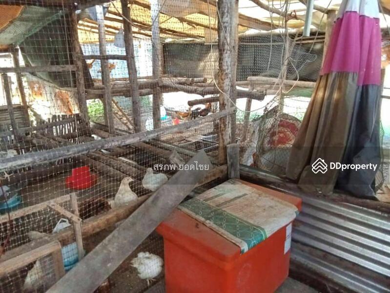 ขาย - ขาย บ้านสวน 2 หลัง เนื้อที่ 1 ไร่ 2 งาน ติดถนนหลวง ชนบท 5040 ตำบล สะพานหิน อำเภอ หนองมะโมง, ชัยนาท