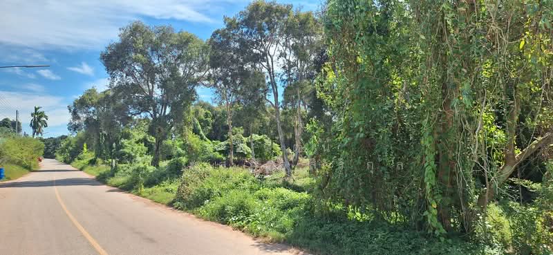 Land for Sale in a prime location at Mae Phim Beach, Land sizes of 9 Rai - Kram, Klaeng, Rayong, Kram, Klaeng, Rayong, , 15,571 sqm, Land For Sale, by อรัญญา ระยาย้อย, 11661457 - DDproperty.com