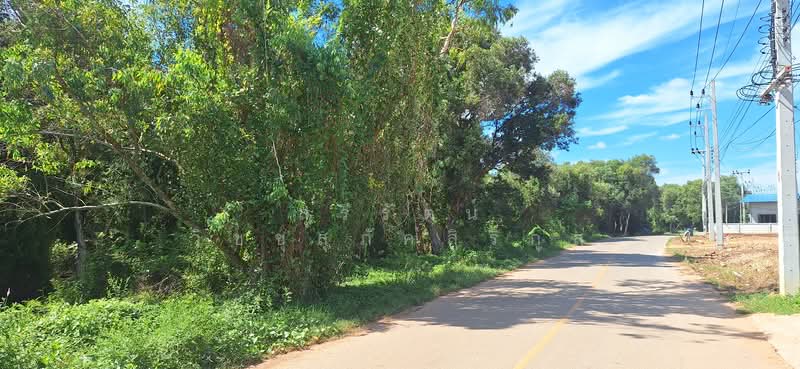 Land for Sale in a prime location at Mae Phim Beach, Land sizes of 9 Rai - Kram, Klaeng, Rayong, Kram, Klaeng, Rayong, , 15,571 sqm, Land For Sale, by อรัญญา ระยาย้อย, 11661457 - DDproperty.com
