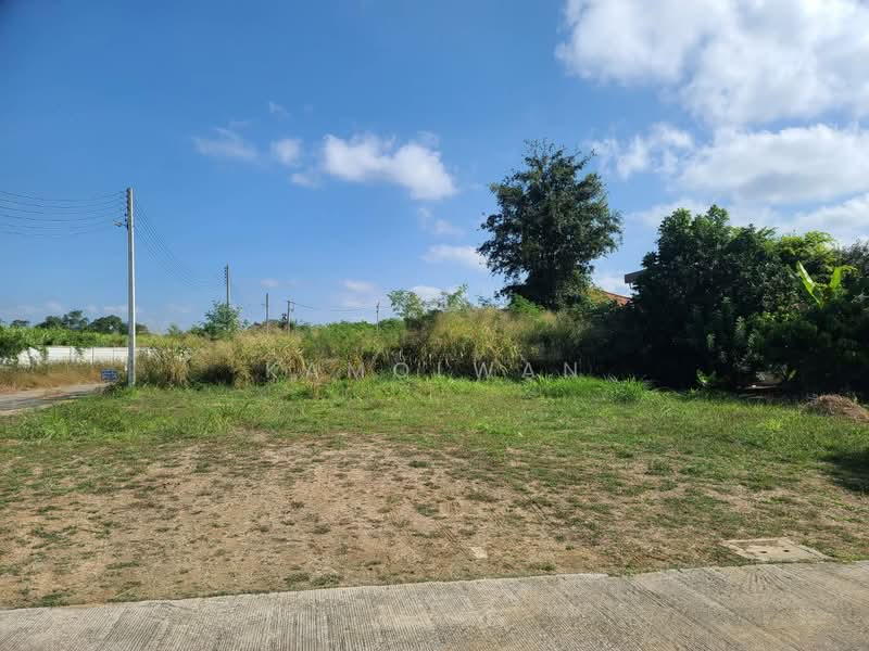 Land in the Pak Chong Country Land project, 100 sq m, beautiful land, good location, Nakhon Ratchasima, Nong Sarai, Pak Chong, Nakhon Ratchasima, , 400 sqm, Land For Sale, by Kamolwan, 11661780 - DDproperty.com
