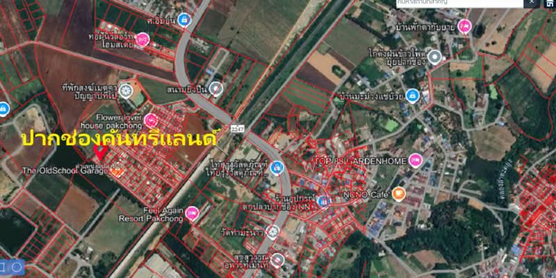 Land in the Pak Chong Country Land project, 100 sq m, beautiful land, good location, Nakhon Ratchasima, Nong Sarai, Pak Chong, Nakhon Ratchasima, , 400 sqm, Land For Sale, by Kamolwan, 11661780 - DDproperty.com