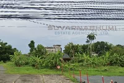 ขาย - ที่ดินวังกระแจะ ( Wang Krachae land ), ตราด